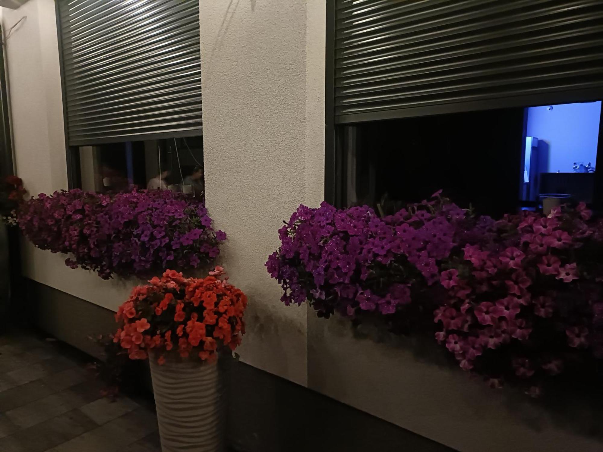 Lesne Niebo Hotel Lubniewice Luaran gambar